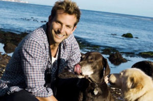 stars_for_stray_animals11