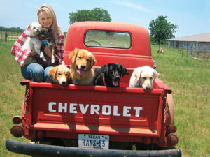 stars_for_stray_animals12