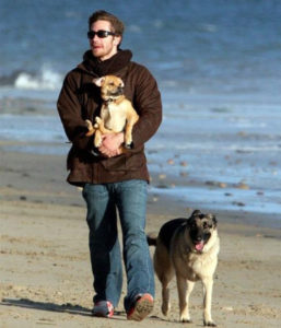 stars_for_stray_animals4