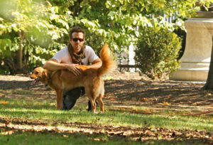 stars_for_stray_animals6