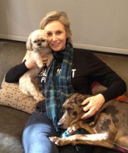 stars_for_stray_animals7