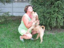 home_for_ukrainian_homeless_animals4